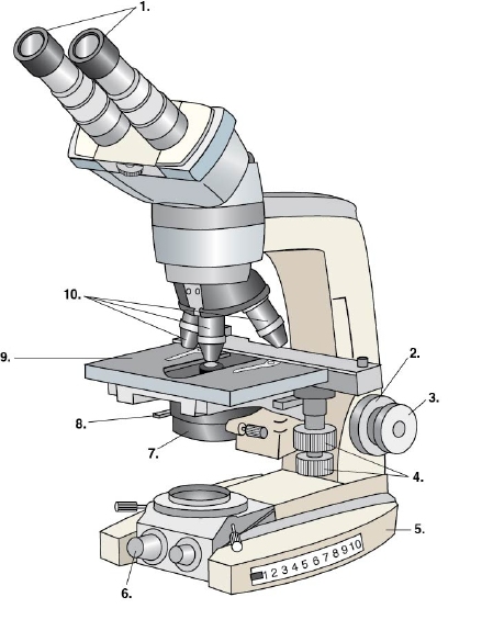 <p>#7</p>