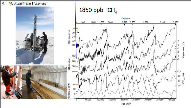 <p>Methane in the Biosphere</p>