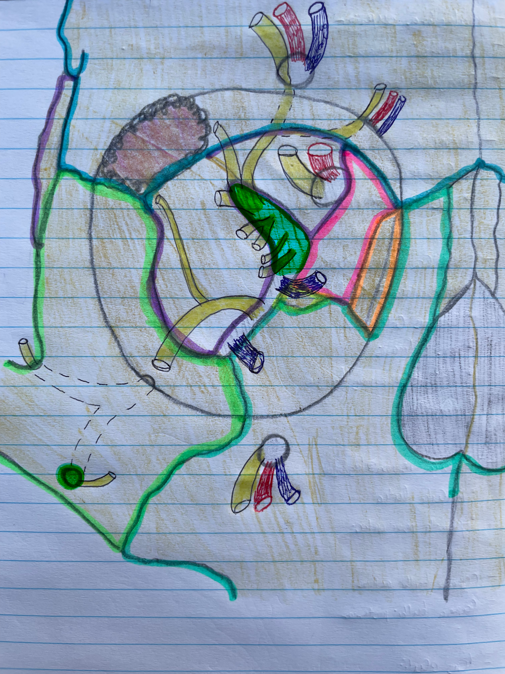 <p><span>felső szemüregi árok</span></p>