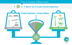 <p>Voluntary payment to another group who will reduce emissions on their behalf instead of reducing/limiting themselves</p>