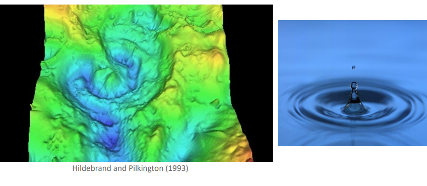 <ul><li><p>well defined concentric rings</p></li><li><p>end of C period</p></li><li><p>peak ring structure</p><ul><li><p>form by rocks behaving like fluid </p></li><li><p>drop hit pond</p></li><li><p>rocks deep forced up and collapse outward tom form multi-ring basin</p></li></ul></li></ul><p></p>