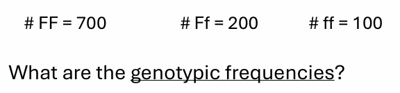 <p>calculating genotypic frequencies example</p>