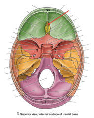 <p>What is the red arrow pointing to?</p>