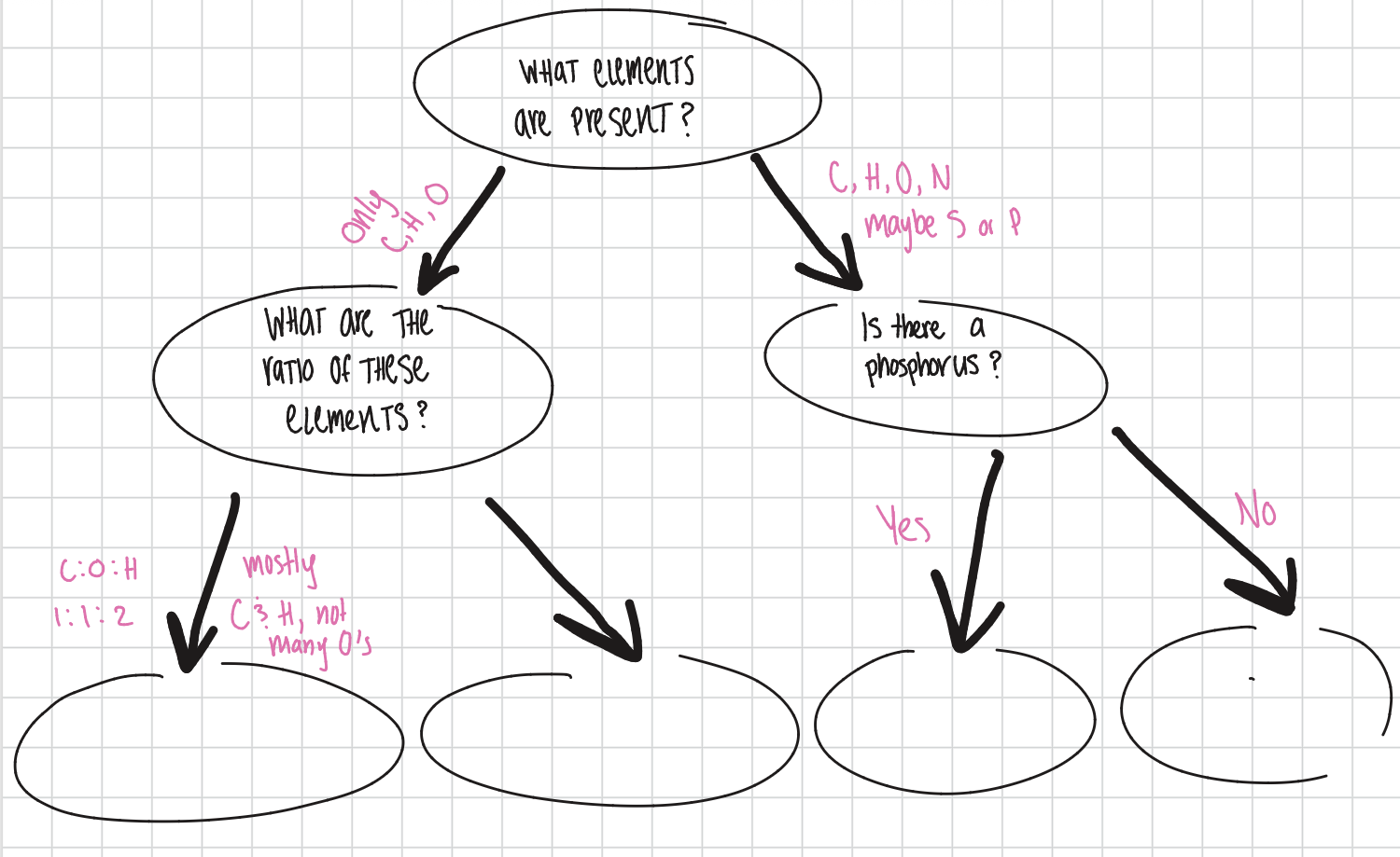 <p>Fill in the bottom bubbles of the flow chart. </p>