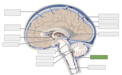 <p>This is the</p>