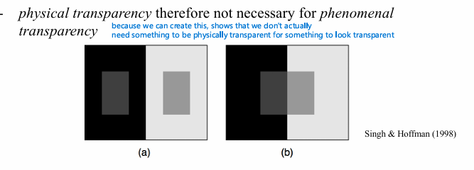 <p>phenomenal transparency = perceived as transparent </p><p></p><p>physically transparent = actually transparent </p><p></p><ul><li><p><em>physical transparency is NOT sufficient for phenomenal transparency </em></p></li></ul><p></p>