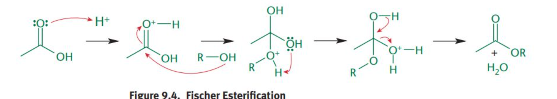 <p><span>a reaction in which carboxylic acids are activated by acid and reacted with alcohols to produce esters. This mechanism follows the normal nucleophilic acyl substitution mechanism.</span></p>