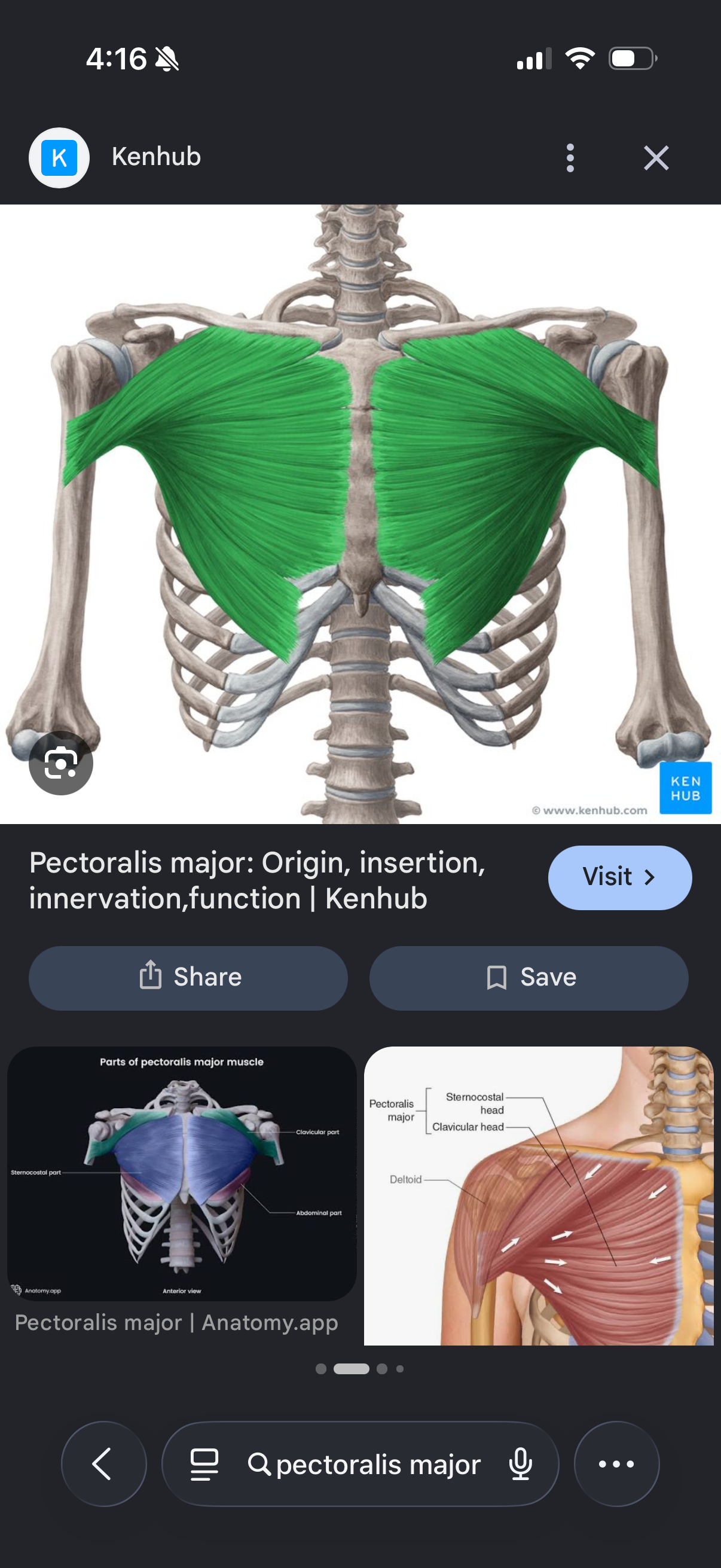 knowt flashcard image