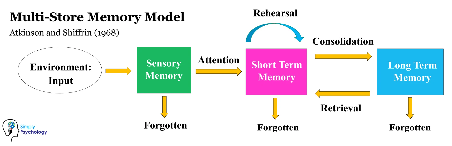 <p>A model that simplifies complex concepts into visual or verbal representations</p>