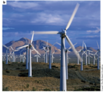 <ul><li><p>as of 2023, 1 terawatt of energy is generated by wind, </p></li><li><p>(58% of Denmark’s energy is generated by wind).</p></li><li><p><span style="background-color: inherit; line-height: 19.55px; color: windowtext;">Can build birds and bats</span><span style="line-height: 19.55px; color: windowtext;"> </span></p><ul><li><p class="Paragraph SCXO218964058 BCX0" style="text-align: left;"><span style="background-color: inherit; line-height: 19.55px; color: windowtext;">Shut them off when migratory organisms are sensed</span><span style="line-height: 19.55px; color: windowtext;"> </span></p></li><li><p class="Paragraph SCXO218964058 BCX0" style="text-align: left;"><span style="background-color: inherit; line-height: 19.55px; color: windowtext;">Also creating turbines that spin -> less risk</span><span style="line-height: 19.55px; color: windowtext;"> </span></p></li></ul></li></ul><p></p>