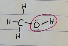 <p>O-H terminal bond</p>