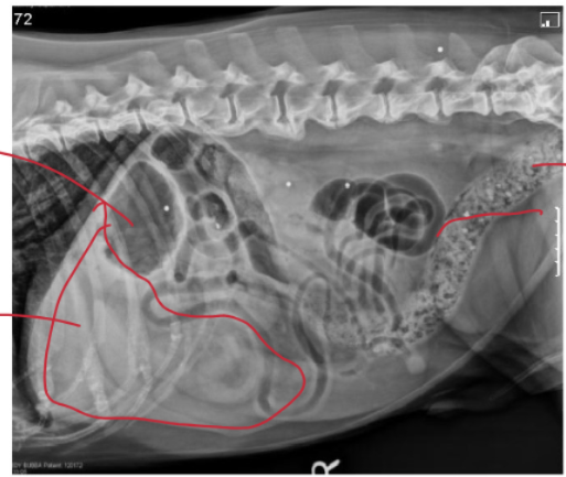 <p>What are the abnormalities on this radiograph, what does it signal to?</p>