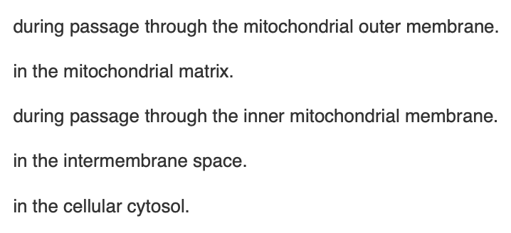 <p><span>In eukaryotes, pyruvate is converted to acetyl CoA</span></p>