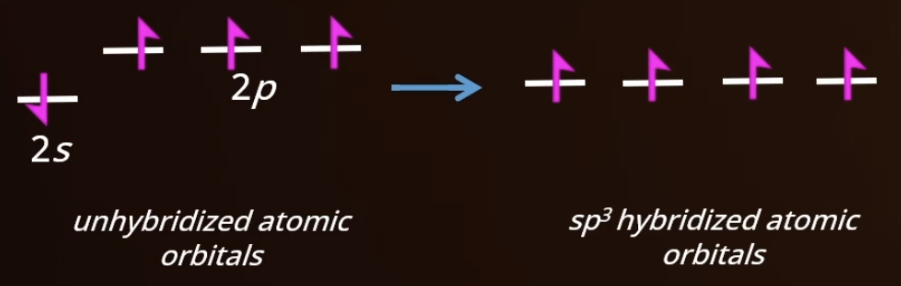 <p><span style="background-color: transparent;">1 s and 3 p orbitals are combined to form 4 sp<sup>3</sup> orbitals</span></p>