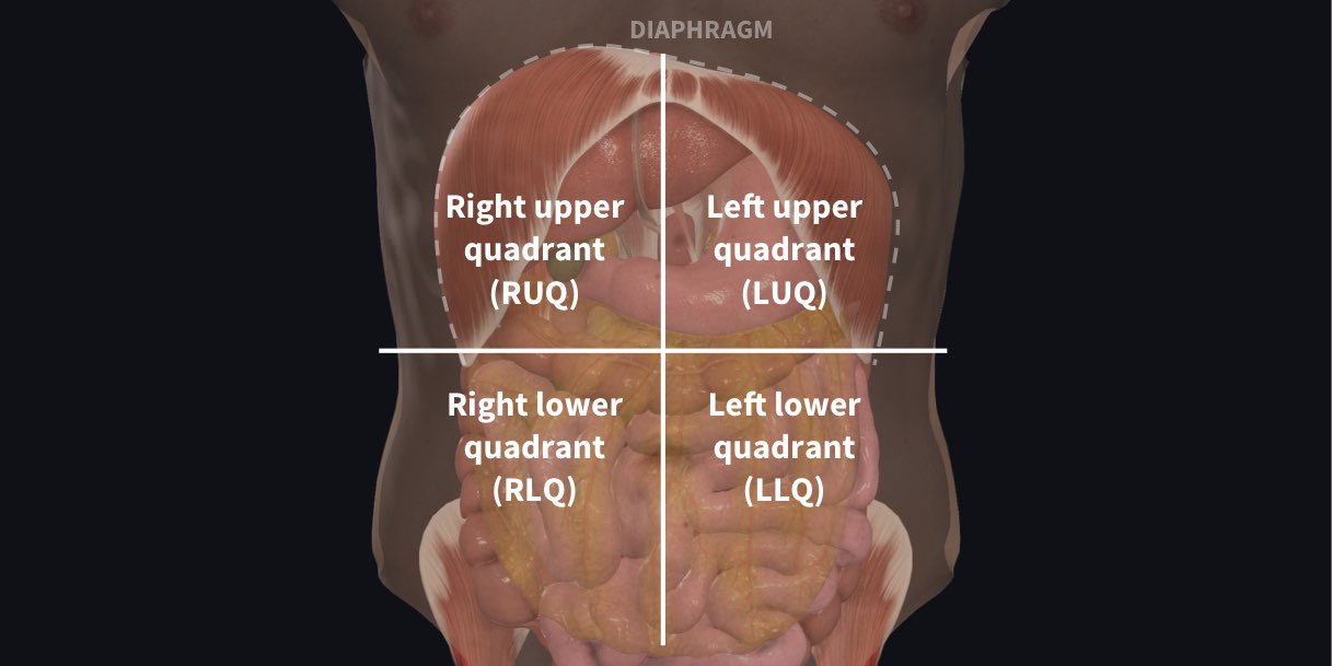 <p>RU, LU, RL, LL</p>