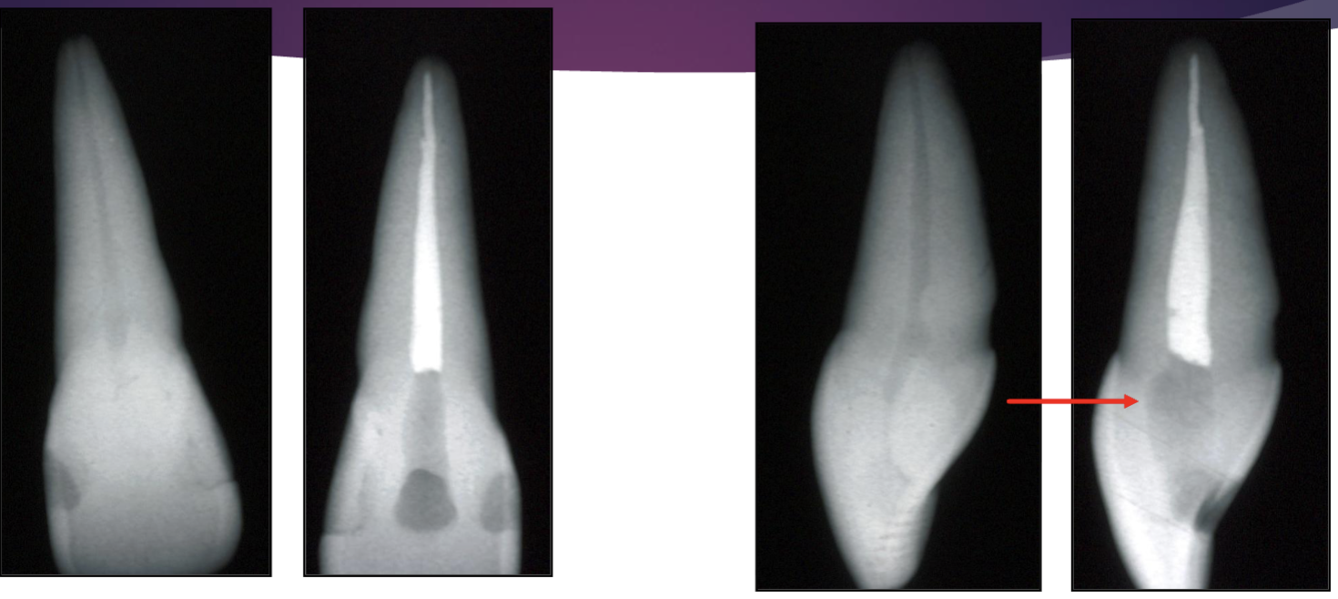 <p>what error happen here </p>