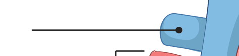 <p>What is this part of the heart?</p>