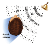 <p>Sound Localization </p>