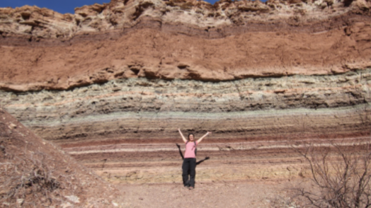 <p>single layer of sediment or sedimentary rock with a recognizable top and bottom where the bedding plane is the boundary between two beds</p><ul><li><p>strata → succession of several layers or beds together</p></li><li><p><span style="color: rgb(255, 0, 0);"><strong><em>bedding</em></strong></span> → overall arrangement of sediment into a sequence of beds</p></li></ul><p></p>