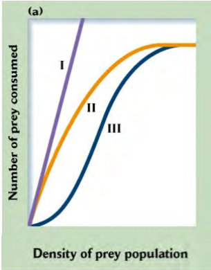 <p>type I: Lotka-Volterra (no satiation)</p><p>type II: satiation (predators get full, catch fewer prey than expected)</p><p>type III: satiation + low predator response at low prey density, because it is difficult to find prey when prey density is low</p><p>some models can also incorporate predators’ ability to respond to satiation</p>