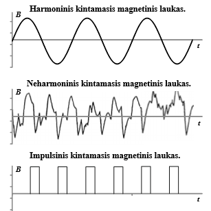 <p>magnetinis laukas, kurios didumas ir kryptis, ar tik didumas kinta laikui bėgant</p>