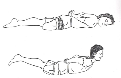 <ul><li><p>muscles </p><ul><li><p>lumbar extensors </p></li><li><p>glute max </p></li><li><p>hip ADD mm (if using roll) </p></li></ul></li><li><p>gait phases </p><ul><li><p>initial contact </p></li><li><p>loading response </p></li><li><p>mid/terminal swing </p></li></ul></li></ul><p></p>