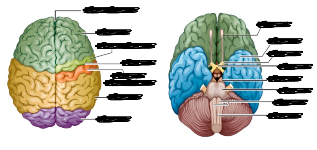 <p>orientation</p>