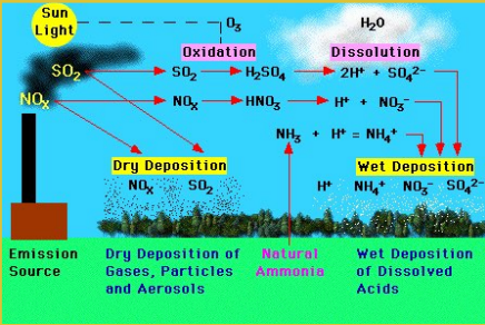 <p><span data-name="black_small_square" data-type="emoji">▪</span> Short intense acid deposition</p><p><span data-name="black_small_square" data-type="emoji">▪</span> Snow melt, heavy rain</p>