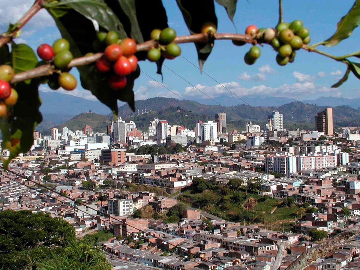 <p>Risaralda, Pereira</p>