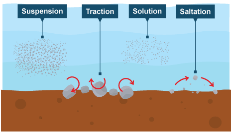 <ul><li><p>Traction- large boulders pushed along sea bed by force of water</p></li><li><p>Suspension- small particles carried along in the water</p></li><li><p>Saltation- pebble sized particles bounced along sea bed</p></li><li><p>Solution- soluble materials dissolved in water and carried along</p></li></ul><p></p>