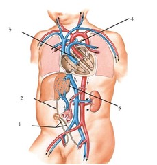 <p>2</p>