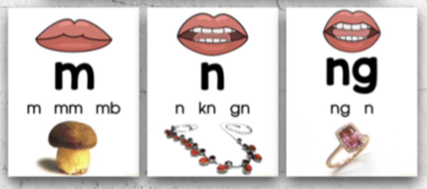 <p>when making these sounds, airflow comes out of our nose</p><p>/n/ /m/ /ng/</p>