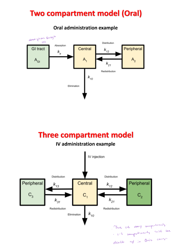 <ul><li><p>One-compartment model with IV bolus administration.</p></li><li><p>One-compartment model with IV infusion.</p></li><li><p>Loading dose followed by IV infusion.</p></li><li><p>Oral administration and the two-compartment model with IV bolus administration.</p></li></ul><p></p>