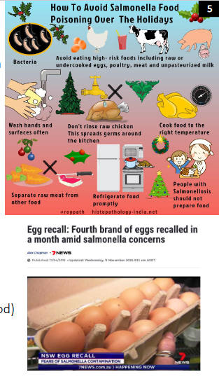 <p>Enterobacteriae: Salmonella enterica</p>