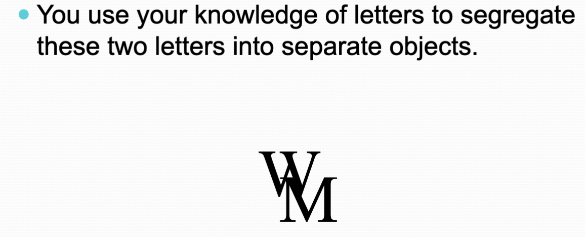 <p>People also used past experience to segregate overlapping objects</p>