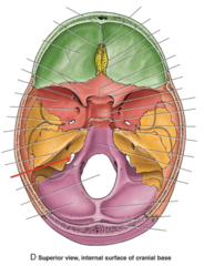 <p>What is the red arrow pointing to?</p>