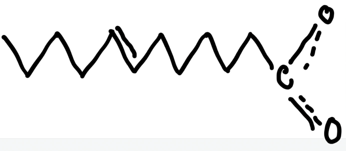 <p>Number the following fatty acid using the delta nomenclature.</p>