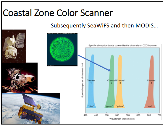 <p>-satellite observations (SeaWiFS)</p><p>-map of chlorophyll A at the surface of the ocean</p><p>-chlorophyll is a pigment in chloroplasts that allows plants to photosynthesis and is green in color because green wavelengths aren’t being absorbed by plants and this green color allows satellites to detect color pigments</p>