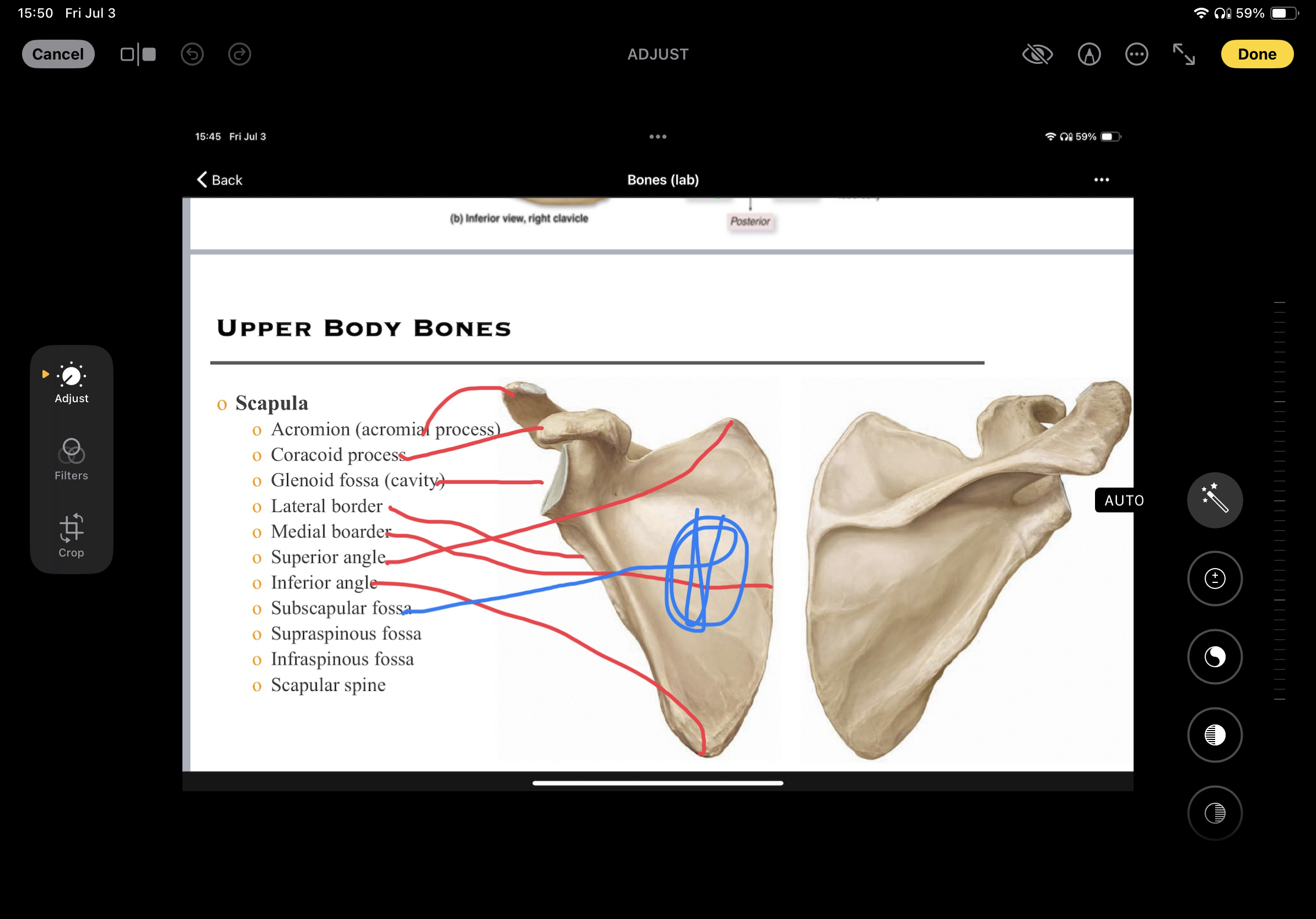 knowt flashcard image