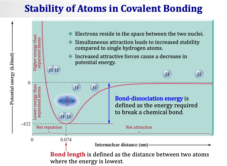 <ul><li><p><span>Electrons reside in the <strong>space between the two nuclei.</strong></span></p></li><li><p><span>Simultaneous attraction leads to <strong>increased stability</strong> compared to single hydrogen atoms.</span></p></li><li><p><span>Increased attractive forces cause a <strong>decrease in potential energy.</strong></span></p></li></ul><p>&nbsp;</p><p>Key definitions from the energy diagram (a curve that dips down to a minimum):</p><ul><li><p><span><strong>Bond length</strong> — defined as the <strong>distance between two atoms where the energy is lowest.</strong> For H₂ this is <strong>0.074 nm.</strong></span></p></li><li><p><span><strong>Bond-dissociation energy</strong> — defined as the <strong>energy required to break a chemical bond.</strong> For H₂ this is <strong>432 kJ/mol.</strong></span></p></li></ul><p>&nbsp;</p><p>When the atoms are too close together → net repulsion → energy goes up. When the atoms are too far apart → net attraction → energy approaches zero. At the right distance (bond length) → lowest energy → most stable.</p>