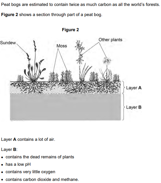 <p>2024: Explain why most of the dead remains of plants in layer B do not decay (3)</p>