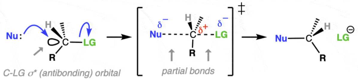 <p><span>Favoured by primary halogenoalkanes (sometime secondary), because of less steric hindrance (blocked by carbon alkyl groups) allowing the nucleophile to easily from the back</span></p>