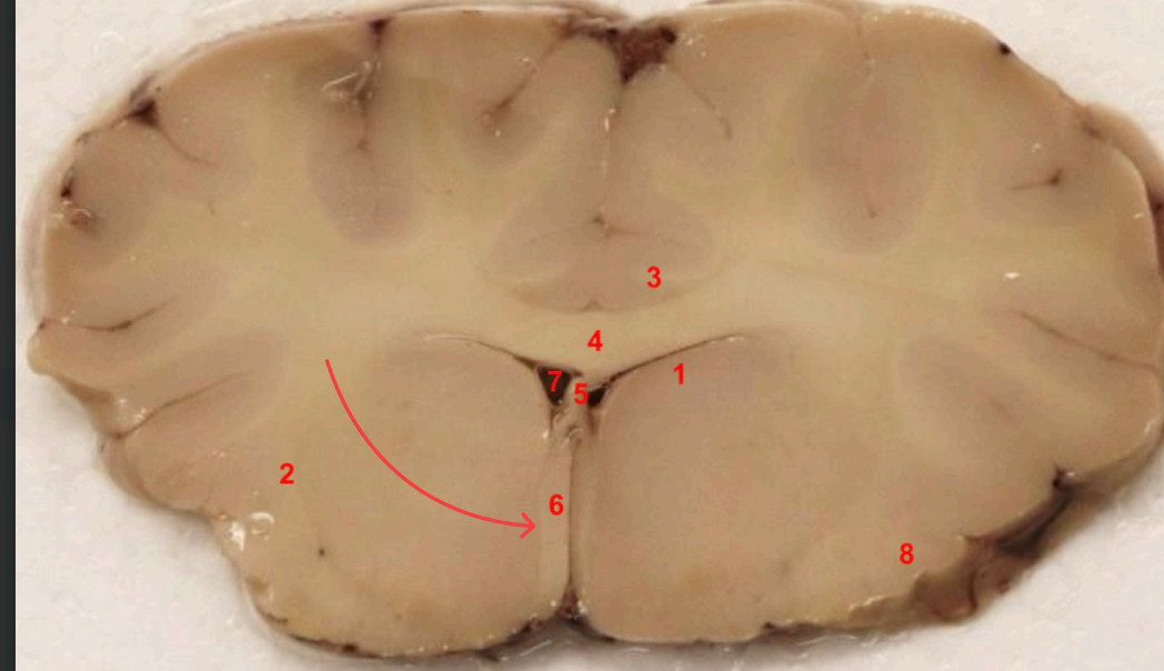 <p>what area is this</p>