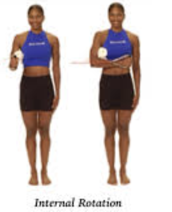 <p>isometric internal rotation hold @ ancore while stepping to the side</p>