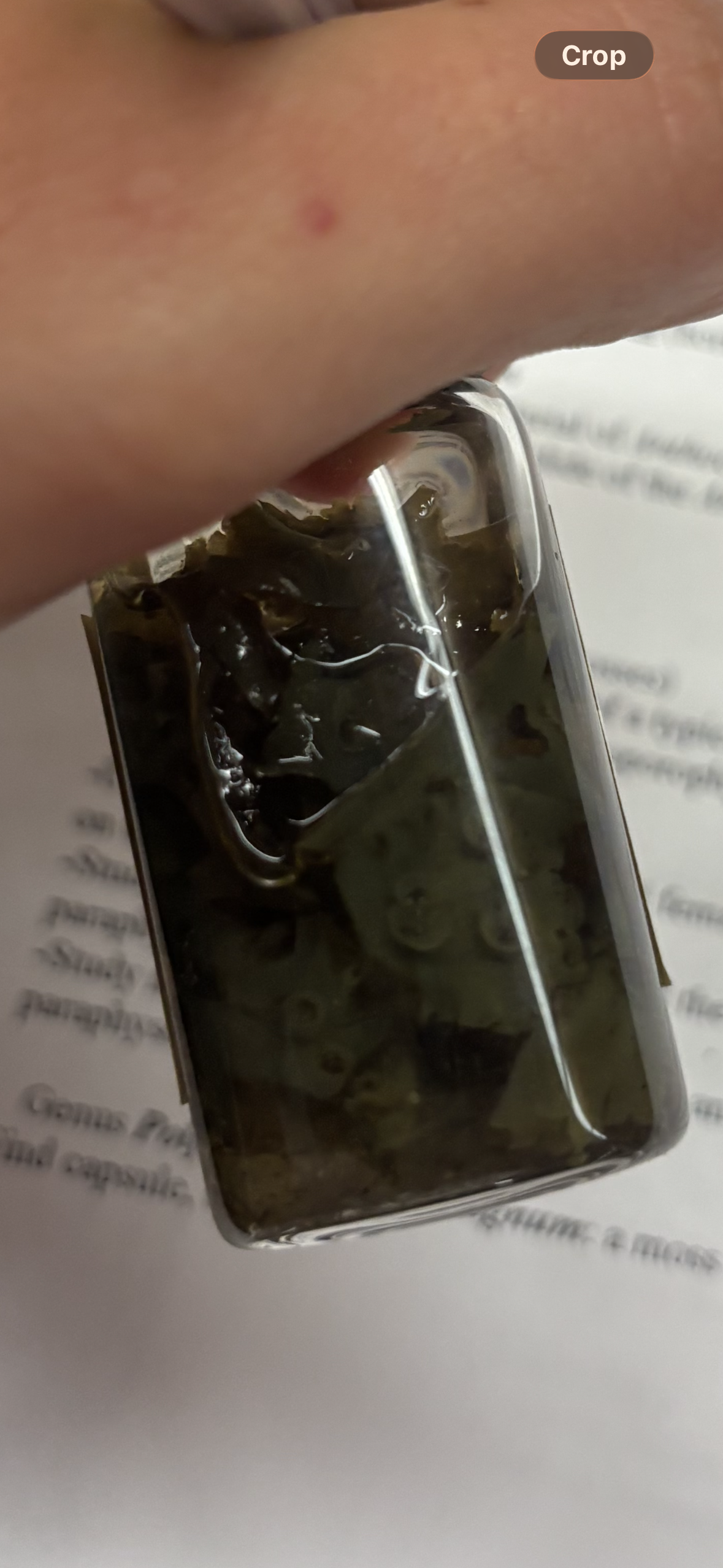 <p>identify</p>