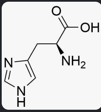 <p>What is this amino acid? </p>