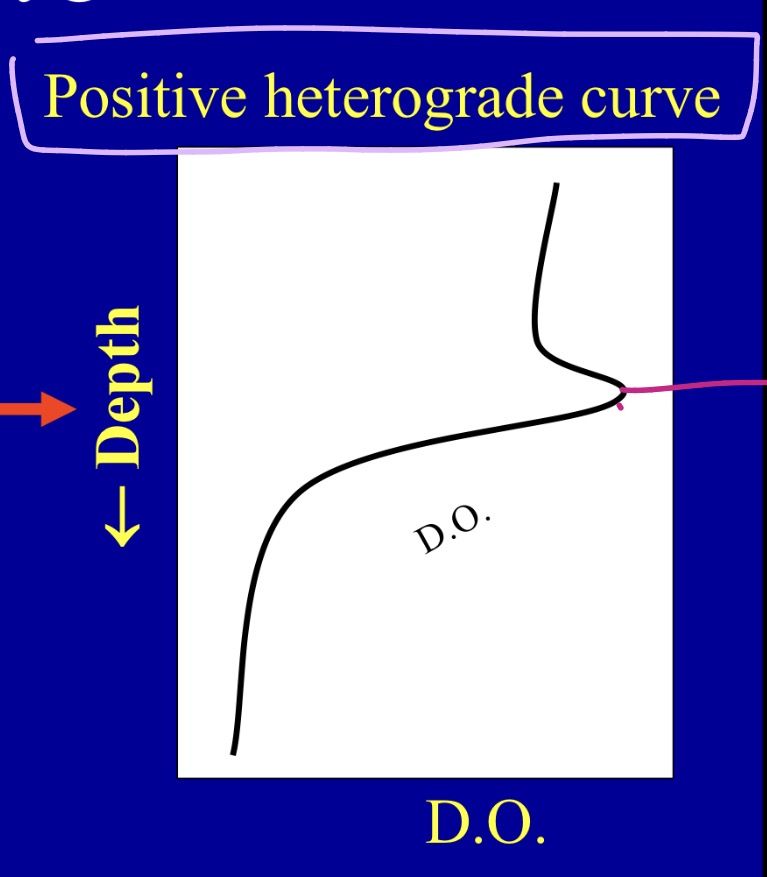 <p>What kind of D.O curve is this?</p>