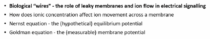 <p>(1) Biological “wires” — the role of leaky membranes and ion flow. (2) How ionic concentration affects ion movement across a membrane. (3) The Nernst equation (the hypothetical equilibrium potential). (4) The Goldman equation (the measurable membrane potential).</p>
