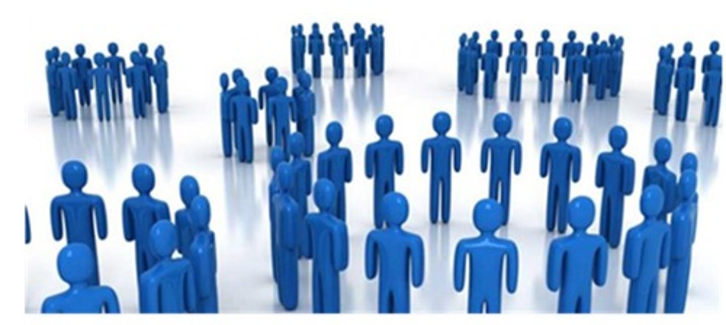 <p>- tendency to create categories, by observing the characteristics that individual members of a category</p>