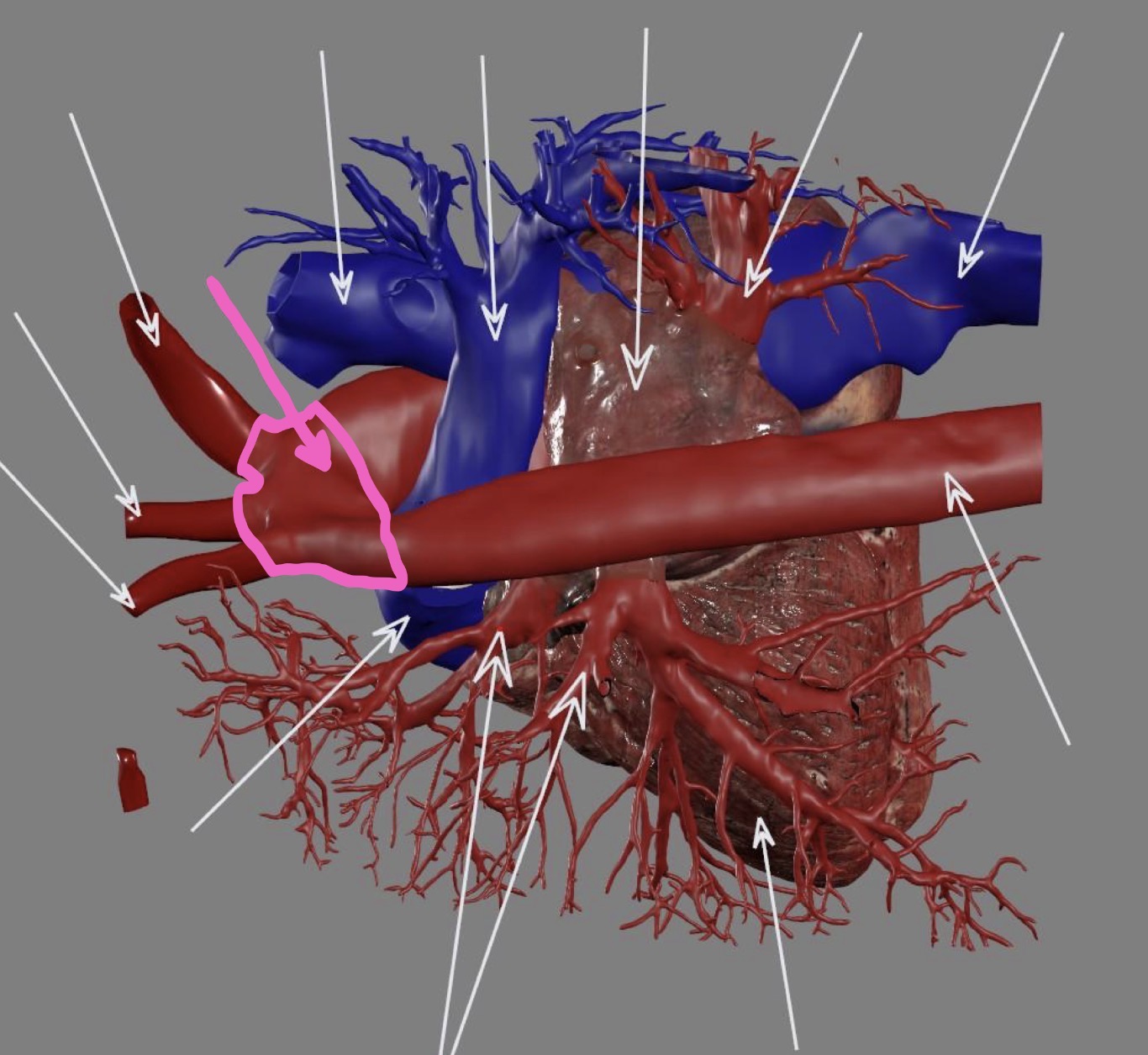 <p>What’s the highlighted area?</p>